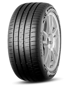 Pneu 255/40R19  DUNLOP REIFORCED SPORT MAXX 060+  100Y
